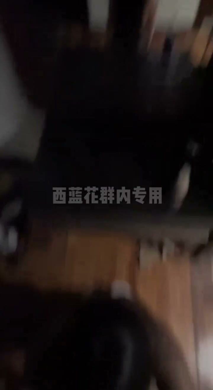 认得出这是哪一只母狗吗~喜欢学狗叫 图片 3